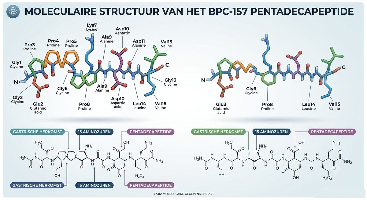 BPC-157 molecular structure