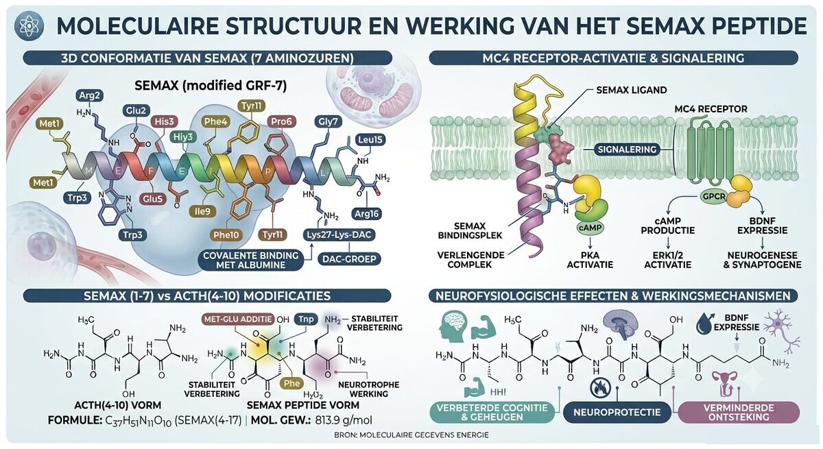 Semax molecular structure